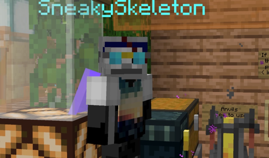 HideNSneak.jpg